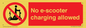 PE15302: No e-scooter charging allowed