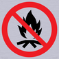 PF11324: Prohibition: No campfire