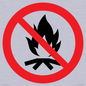 PF11324: Prohibition: No campfire