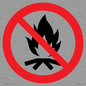 PF11324: Prohibition: No campfire