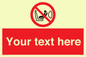 PH12664: Custom Prohibition: Child seat installation prohibited