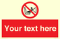 PH12664: Custom Prohibition: Child seat installation prohibited