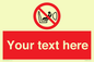 PH12664: Custom Prohibition: Child seat installation prohibited