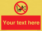PH12664: Custom Prohibition: Child seat installation prohibited