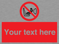 PH12664: Custom Prohibition: Child seat installation prohibited