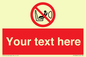 PH12664: Custom Prohibition: Child seat installation prohibited