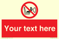 PH12664: Custom Prohibition: Child seat installation prohibited