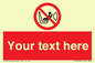 PH12664: Custom Prohibition: Child seat installation prohibited