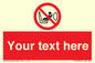 PH12664: Custom Prohibition: Child seat installation prohibited