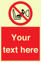 PH12664: Custom Prohibition: Child seat installation prohibited