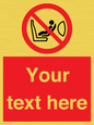 PH12664: Custom Prohibition: Child seat installation prohibited