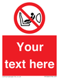 PH12664: Custom Prohibition: Child seat installation prohibited