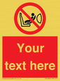 PH12664: Custom Prohibition: Child seat installation prohibited