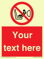 PH12664: Custom Prohibition: Child seat installation prohibited