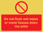 PH5783: Do not flush wet wipes or moist tissues down the toilet