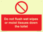 PH5783: Do not flush wet wipes or moist tissues down the toilet