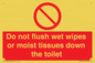 PH5783: Do not flush wet wipes or moist tissues down the toilet