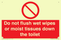 PH5783: Do not flush wet wipes or moist tissues down the toilet