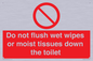 PH5783: Do not flush wet wipes or moist tissues down the toilet