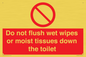 PH5783: Do not flush wet wipes or moist tissues down the toilet