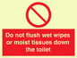 PH5783: Do not flush wet wipes or moist tissues down the toilet
