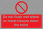 PH5783: Do not flush wet wipes or moist tissues down the toilet