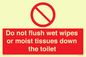 PH5783: Do not flush wet wipes or moist tissues down the toilet