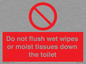PH5783: Do not flush wet wipes or moist tissues down the toilet
