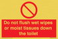 PH5783: Do not flush wet wipes or moist tissues down the toilet