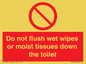 PH5783: Do not flush wet wipes or moist tissues down the toilet