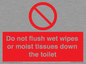 PH5783: Do not flush wet wipes or moist tissues down the toilet