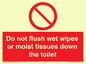 PH5783: Do not flush wet wipes or moist tissues down the toilet