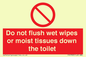 PH5783: Do not flush wet wipes or moist tissues down the toilet
