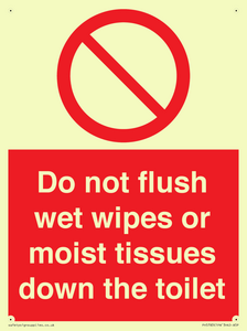 PH5783: Do not flush wet wipes or moist tissues down the toilet