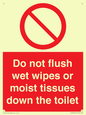 PH5783: Do not flush wet wipes or moist tissues down the toilet