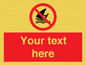 PL7391: Custom No windsurfing
