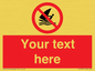 PL7391: Custom No windsurfing