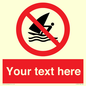 PL7391: Custom No windsurfing
