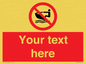 PL7394: Custom No personal water craft