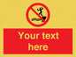 PL7398: Custom No jumping into water