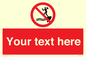 PL7398: Custom No jumping into water