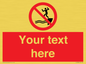 PL7398: Custom No jumping into water