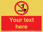 PL7398: Custom No jumping into water