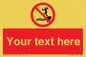 PL7398: Custom No jumping into water