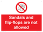 PP16771: Sandals and flip-flops are not allowed