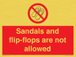 PP16771: Sandals and flip-flops are not allowed