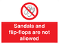 PP16771: Sandals and flip-flops are not allowed