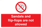 PP16771: Sandals and flip-flops are not allowed