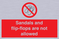 PP16771: Sandals and flip-flops are not allowed