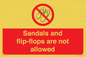PP16771: Sandals and flip-flops are not allowed